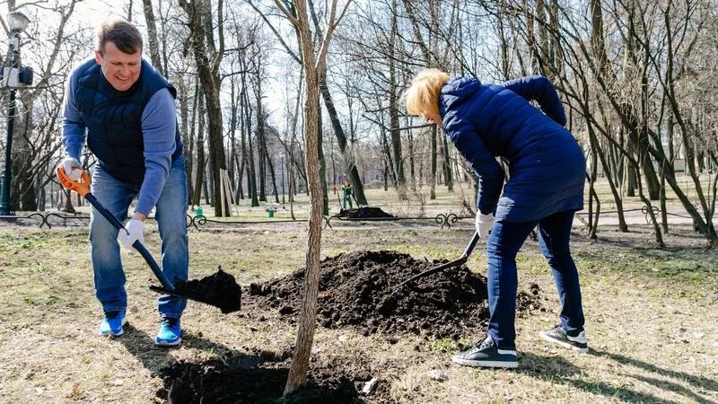 Член Общественной палаты Петербурга Александр Ходачек: стартовал месячник по благоустройству города
