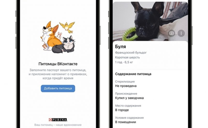 Новый сервис «Мой питомец» поможет петербуржцам в уходе за животными Новый сервис «Мой питомец» поможет петербуржцам в уходе за животными