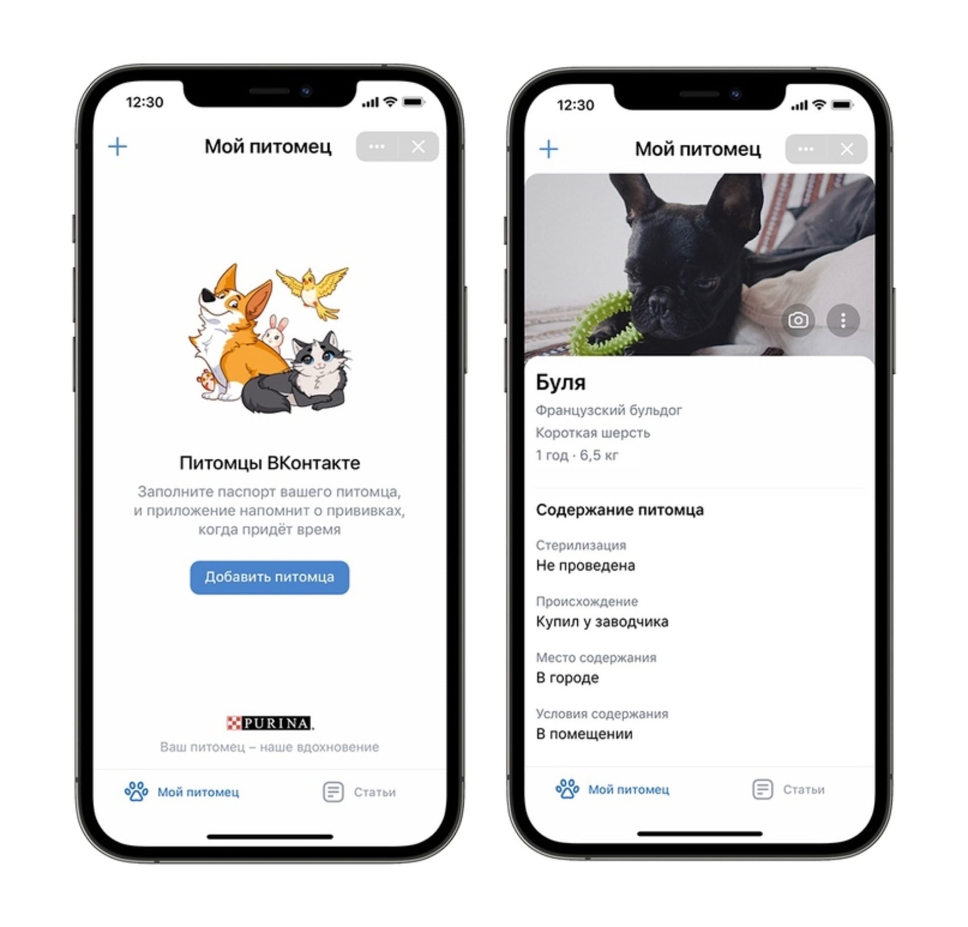 Фотострана игра питомец. Вашего питомца в нем. Зоомагазин животные. Грустные кошка и собака. Вашего питомца в нем.