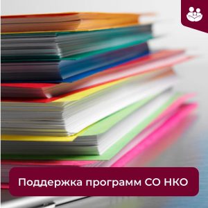 Субсидии на выполнение общественно полезных программ получат 57 социально ориентированных НКО