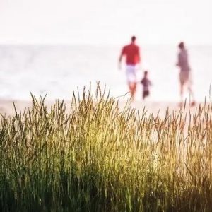 Новый сервис для семей с детьми «Я родитель» появился в Санкт-Петербурге