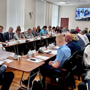 Члены Общественной палаты Санкт-Петербурга приняли участие в совещании по проблемам предпринимателей при использовании нестационарных торговых объектов