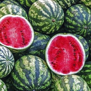 Как выбрать арбуз