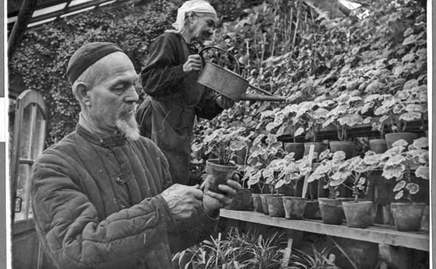 О достижениях ученых во время Отечественной войны рассказали специалисты РНБ О достижениях ученых во время Отечественной войны рассказали специалисты РНБ