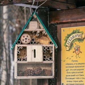 В парке «Ближние дубки» появилась экотропа для семейной прогулки В парке «Ближние дубки» появилась экотропа для семейной прогулки