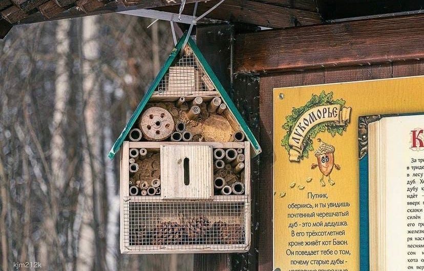 В парке «Ближние дубки» появилась экотропа для семейной прогулки