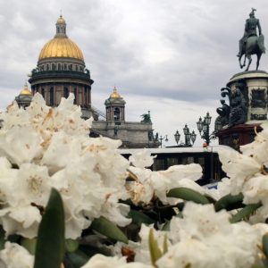 Члены Общественной палаты Санкт-Петербурга оценили положительные изменения, связанные с благоустройством города