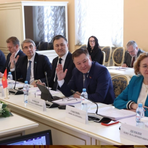 Председатель Общественной палаты Санкт-Петербурга Ирина Соколова приняла участие в заседании Постоянной комиссии Межпарламентской Ассамблеи СНГ по изучению опыта государственного строительства и местного самоуправления.