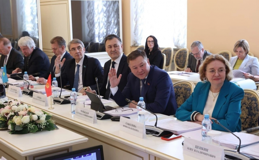 Председатель Общественной палаты Санкт-Петербурга Ирина Соколова приняла участие в заседании Постоянной комиссии Межпарламентской Ассамблеи СНГ по изучению опыта государственного строительства и местного самоуправления.