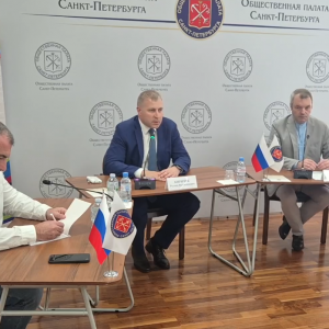 В Общественной палате Санкт-Петербурга стартует второй в серии круглый стол, организованный в рамках экспертного медиапроекта «Дело молодых»