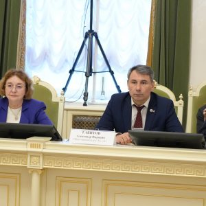 Председатель Общественной палаты Санкт-Петербурга Ирина Соколова приняла участие в заседании постоянной комиссии по экологии и природопользованию Законодательного Собрания Санкт-Петербурга