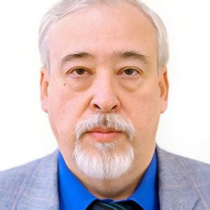 Сильников Михаил Владимирович Сильников Михаил Владимирович