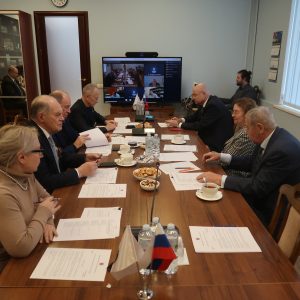 В Общественной палате Санкт-Петербурга состоялось заседание Совета под председательством Ирины Соколовой 